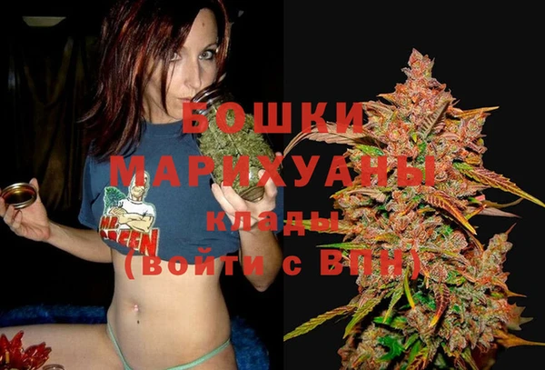 PSILOCYBIN Арсеньев