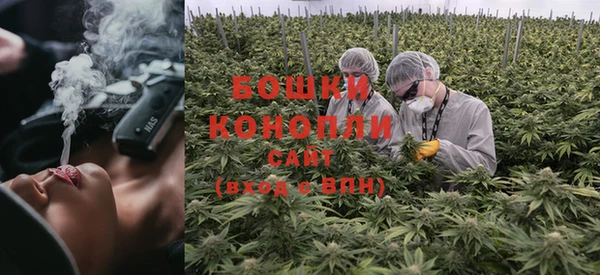 PSILOCYBIN Арсеньев