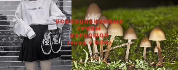 PSILOCYBIN Арсеньев