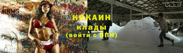 PSILOCYBIN Арсеньев